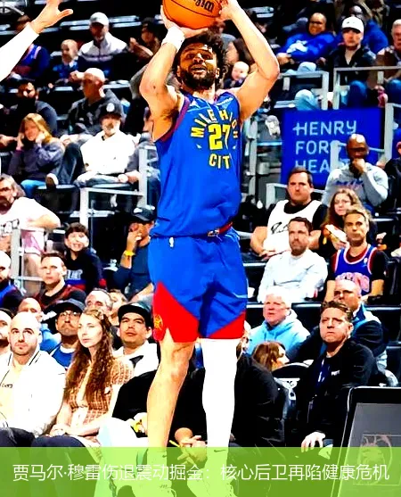 12月3日,贾马尔&middot;穆雷伤退震动掘金：核心后卫再陷健康危机