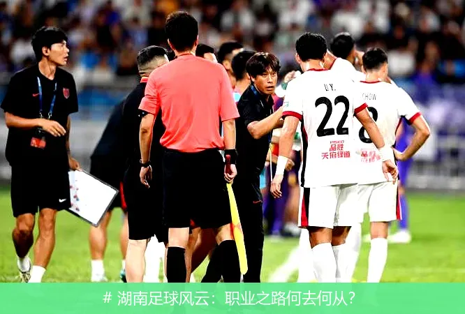12月14日, 湖南足球风云：职业之路何去何从？